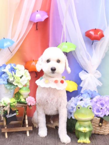 20230610ビビくん